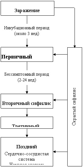 Реферат: Висцеральный сифилис