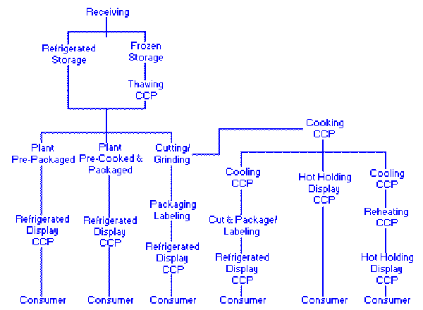 Haccp Plan Flow Chart