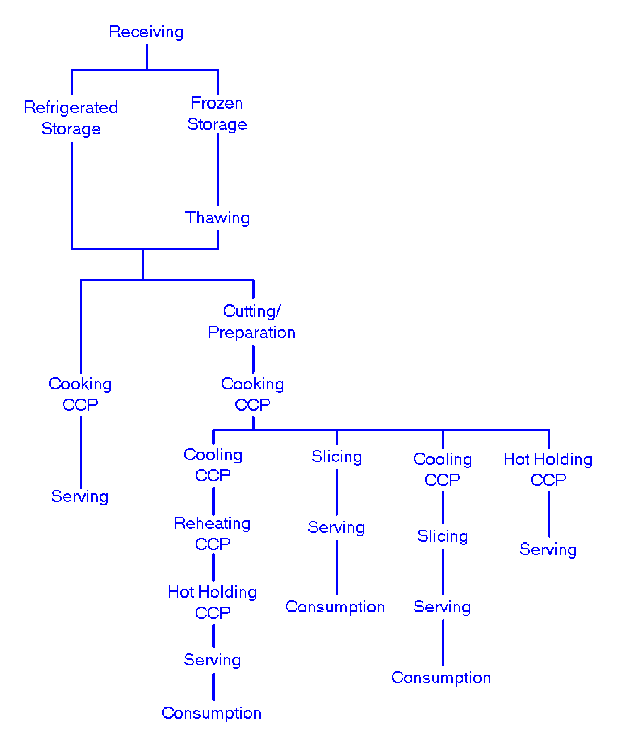 Haccp Flow Chart For Beef